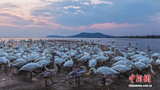 ˪ʱڣɽٳɴҼȻӭǨԽġѡȺӵĴɵԽ֮ã鶯ӰӳȤΪǨ·ϳ̬羰ߡ˻Ƭž 