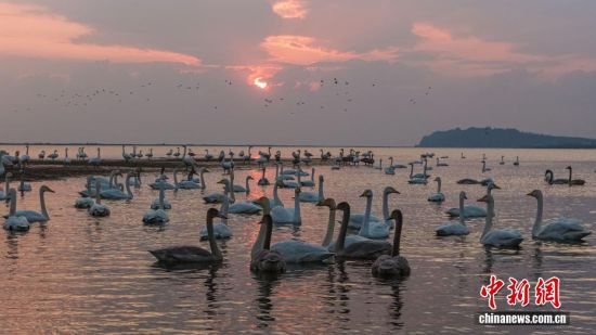 ˪ʱڣɽٳɴҼȻӭǨԽġѡȺӵĴɵԽ֮ã鶯ӰӳȤΪǨ·ϳ̬羰ߡ˻Ƭž 