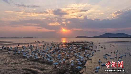 ˪ʱڣɽٳɴҼȻӭǨԽġѡȺӵĴɵԽ֮ã鶯ӰӳȤΪǨ·ϳ̬羰ߡ˻Ƭž 