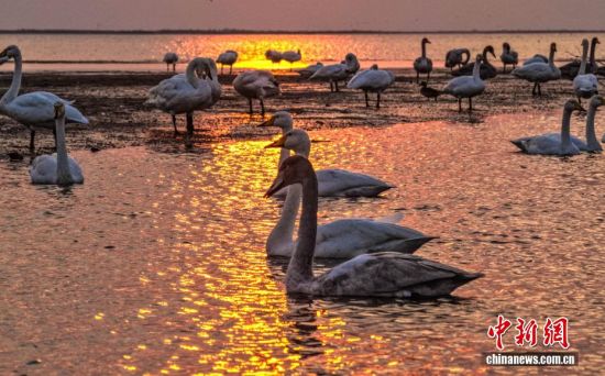 ˪ʱڣɽٳɴҼȻӭǨԽġѡȺӵĴɵԽ֮ã鶯ӰӳȤΪǨ·ϳ̬羰ߡ˻Ƭž 