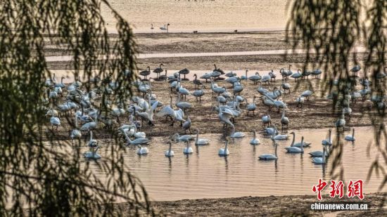 ˪ʱڣɽٳɴҼȻӭǨԽġѡȺӵĴɵԽ֮ã鶯ӰӳȤΪǨ·ϳ̬羰ߡ˻Ƭž 