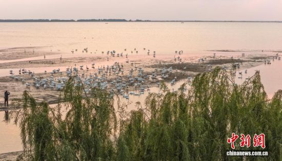 ˪ʱڣɽٳɴҼȻӭǨԽġѡȺӵĴɵԽ֮ã鶯ӰӳȤΪǨ·ϳ̬羰ߡ˻Ƭž 