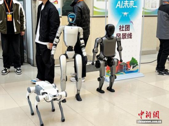 112գǻ㹤ѵAIδѵĿɽѧ¡ɽУĻͼΪλ˺չʾо 