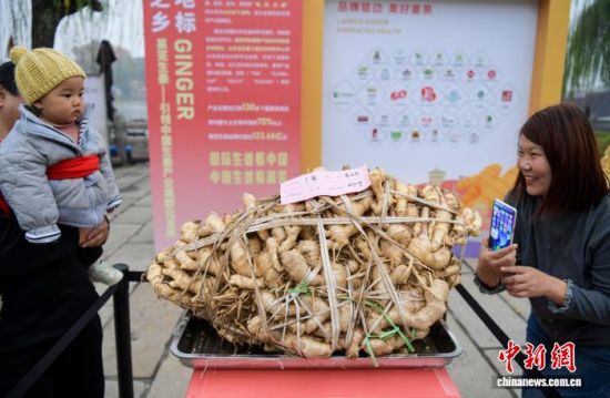 118գ2025ׯУԵ38.75ǧáƺŵһ಩ᡣգ2025й•()ʮʽҵYOUѡƷмƹڼϴϿĻԵ38.75ǧáƺŵһ಩ᣬοפ͡  