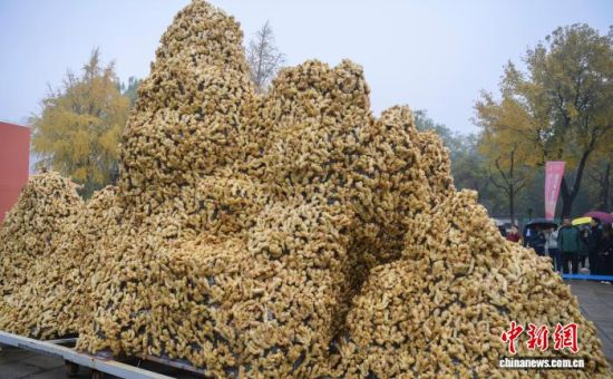 118գο2025й•()ʮʽҵYOUѡƷмƹϹ͡ɽգ2025й•()ʮʽҵYOUѡƷмƹڼϴϿĻԵ38.75ǧáƺŵһ಩ᣬοפ͡  