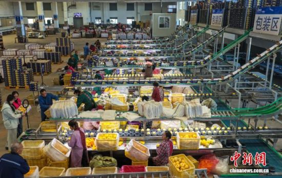 1110գɽٳɣŮԴҵæֱ̡˫ʮһڡƻֿŮһ߷ּ𡢰װƻһֱƹ㣻ҵڣŮԴҵֱֹ֯Ρظ齨ֱŶӣŮʵϴҵաž 