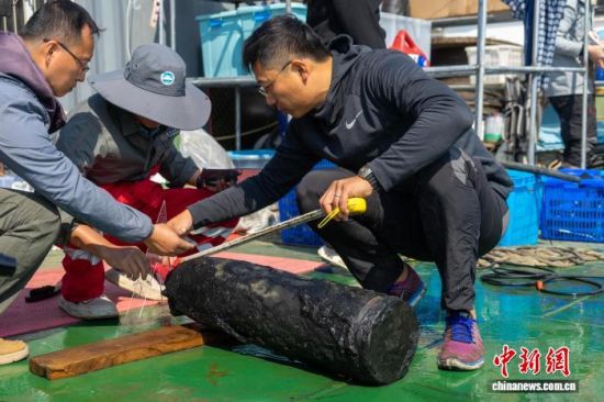 2022年,水下考古队员测量刚出水的“靖远”舰克虏伯炮弹。山东省水下考古研究中心供图 2022年,水下考古队员测量刚出水的“靖远”舰克虏伯炮弹。山东省水下考古研究中心供图