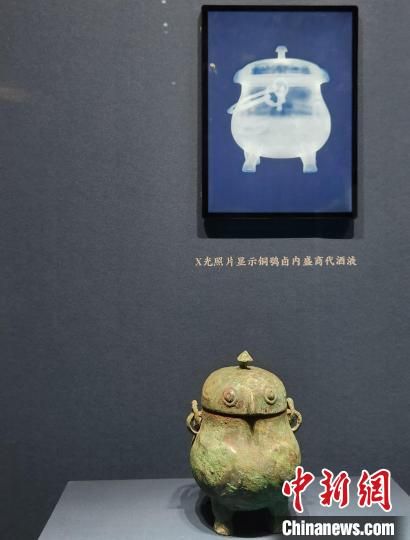 图为商代铜鸮卣,X光照片显示其内盛酒液。赵晓 摄 图为商代铜鸮卣,X光照片显示其内盛酒液。赵晓 摄