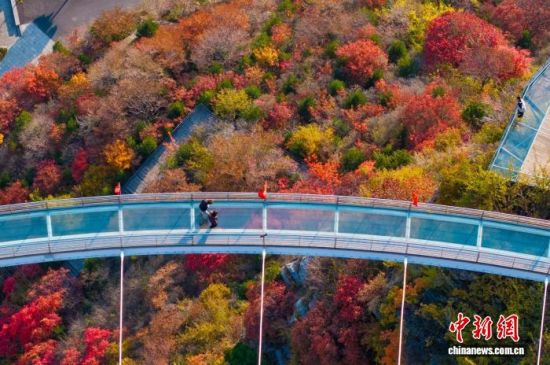 Ͳ̶Ϫɽοڸ߿ղϸɫ 