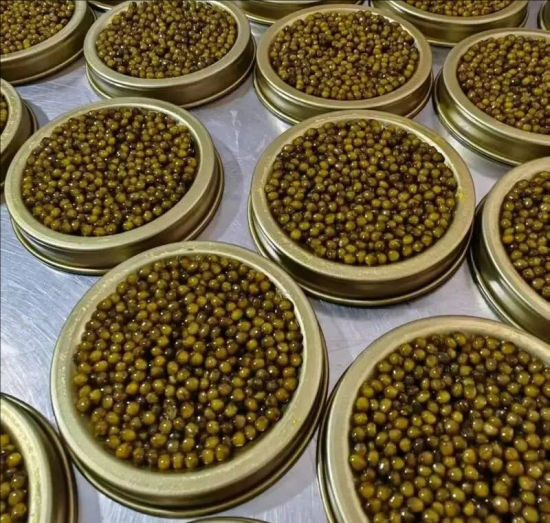 山东潍坊临朐县鱼子酱。 山东潍坊临朐县鱼子酱。