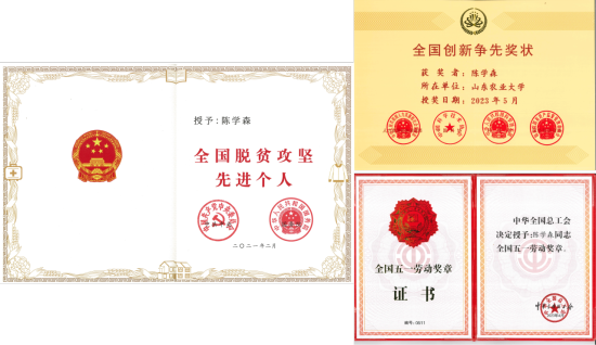 成果第一完成人获全国脱贫攻坚先进个人、全国创新争先奖和全国五一劳动奖章等 成果第一完成人获全国脱贫攻坚先进个人、全国创新争先奖和全国五一劳动奖章等