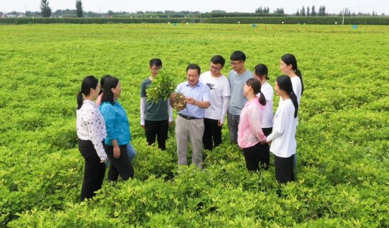 花生科技创新团队田间考察 花生科技创新团队田间考察