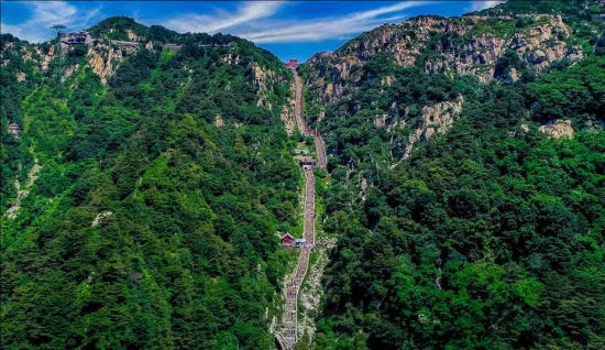 ����̩ɽ������ֲ�������Ա�ͼ