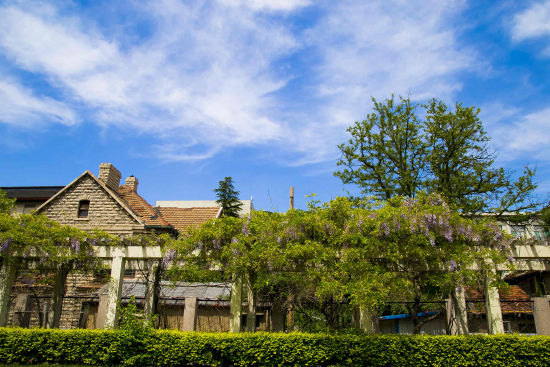 45号 山东大学蔡清香 《山东大学趵突泉校区的那些古老建筑》