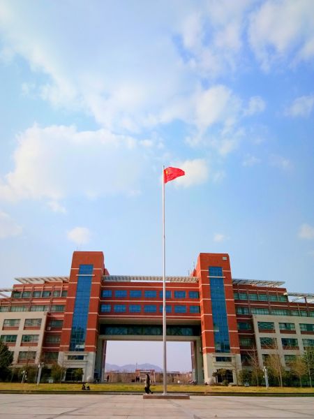 911号 山东科技大学田静 《飘》