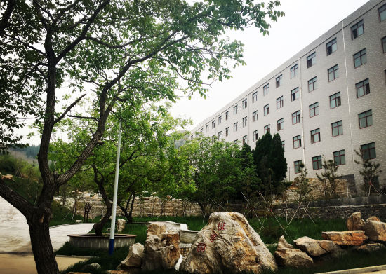 454号 山东师范大学历山学院马聪颖 《桃李园》