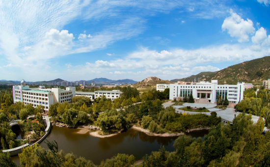969号 泰山学院陈涛 《校园风景》