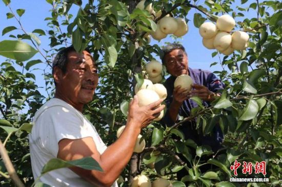 еظׯǧĶ԰æŲժּ𡣵ίͼ