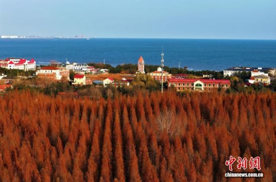 121գӿиպɭֹ԰һ̺һ֡(˻Ƭ) 