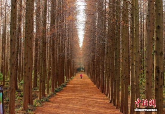 121գպɭֹ԰ˮɼֱϦӳճůɫӰ(˻Ƭ) 