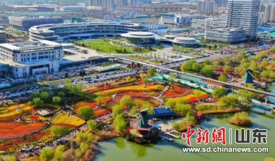 ���ݾ��ü����������ԿƼ����¸�����ҵ��չ��