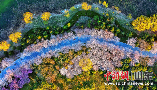 ����� �� 